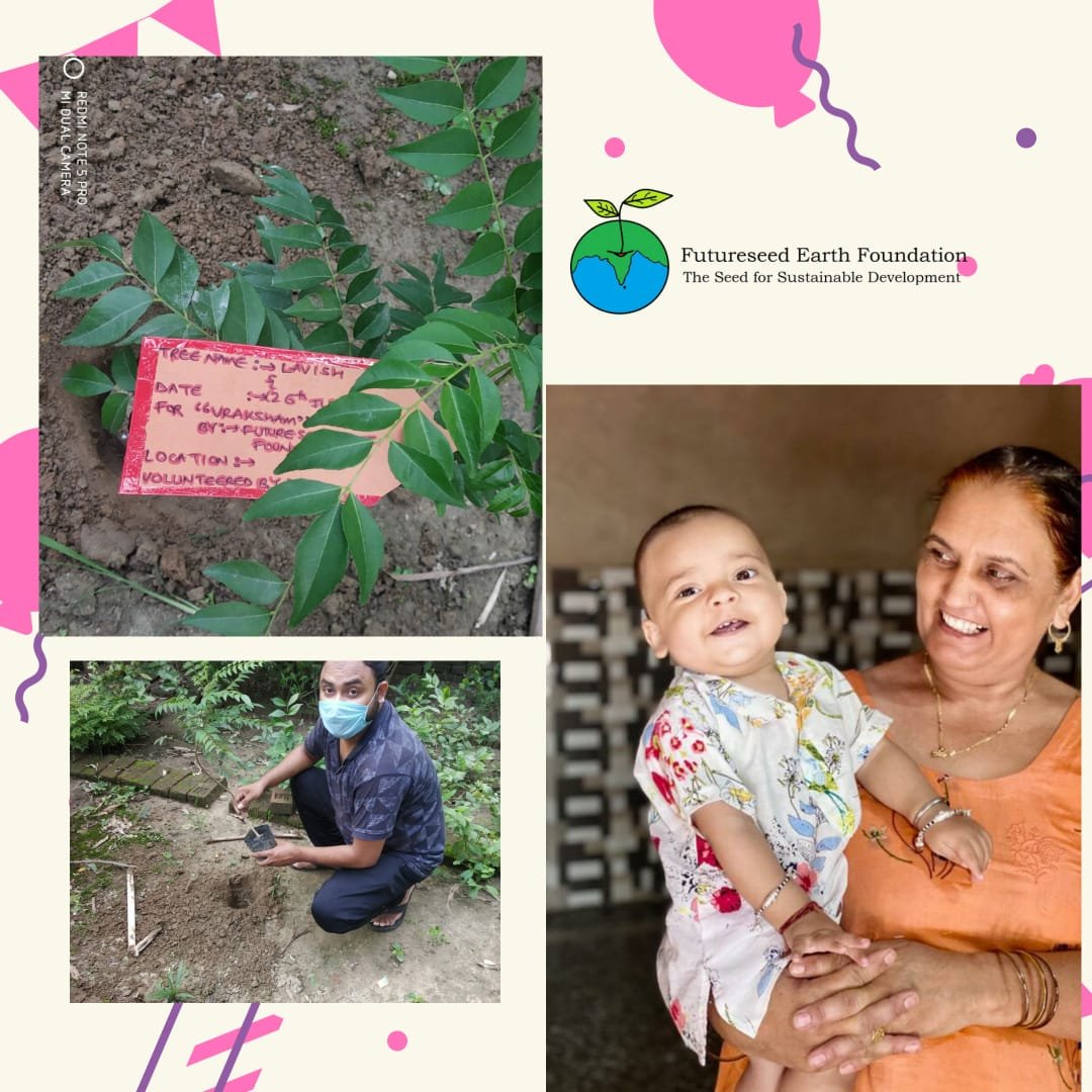 Tree Plantation