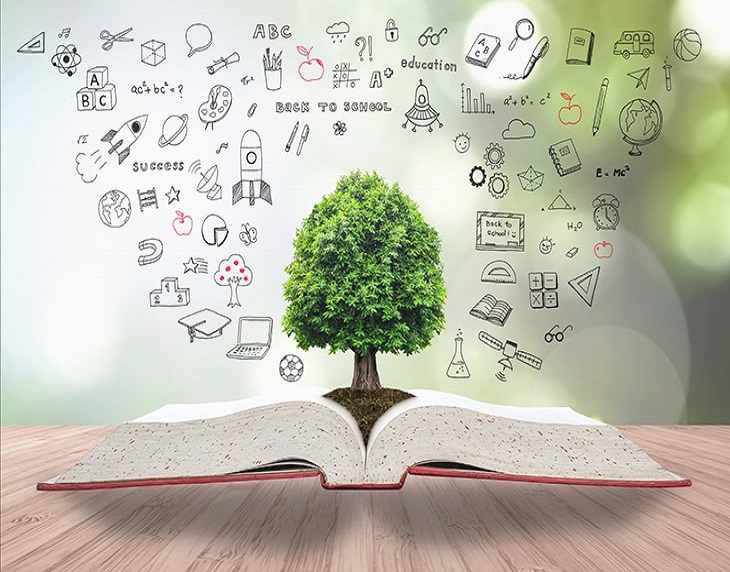 Environmental Research & Education