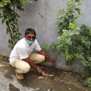World Environment Day