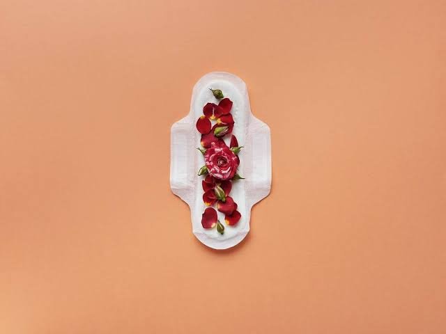 3 Months Sanitary Pads
