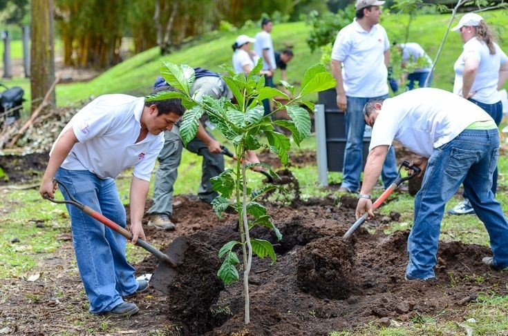 Adopt a Plant With Us