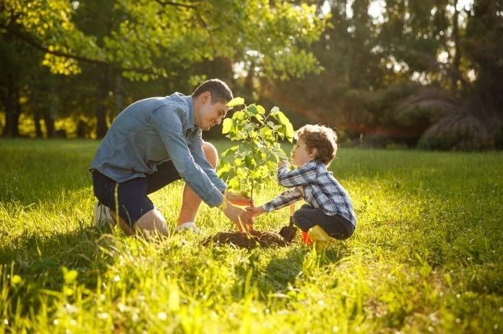 Adopt 50 Plants With Us