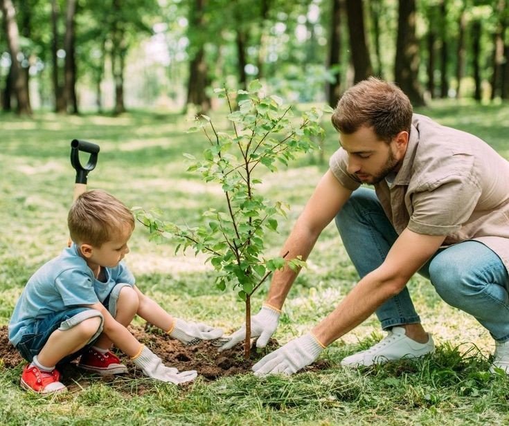 Adopt 100 Plants With Us